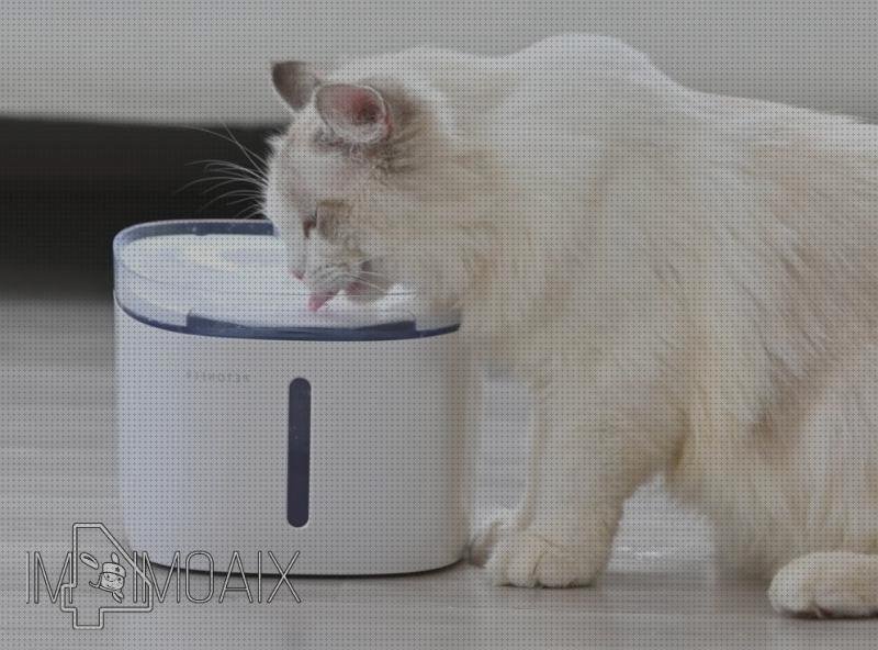 Las mejores xiaomi gatos funda móvil xiaomi s2 rosa xiaomi s2 bebedero gatos xiaomi
