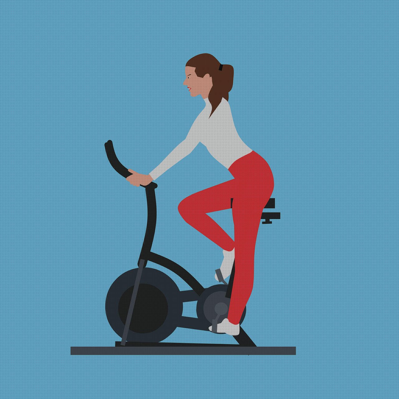 ¿Dónde poder comprar bicicletas bicicleta estatica xiaomi?