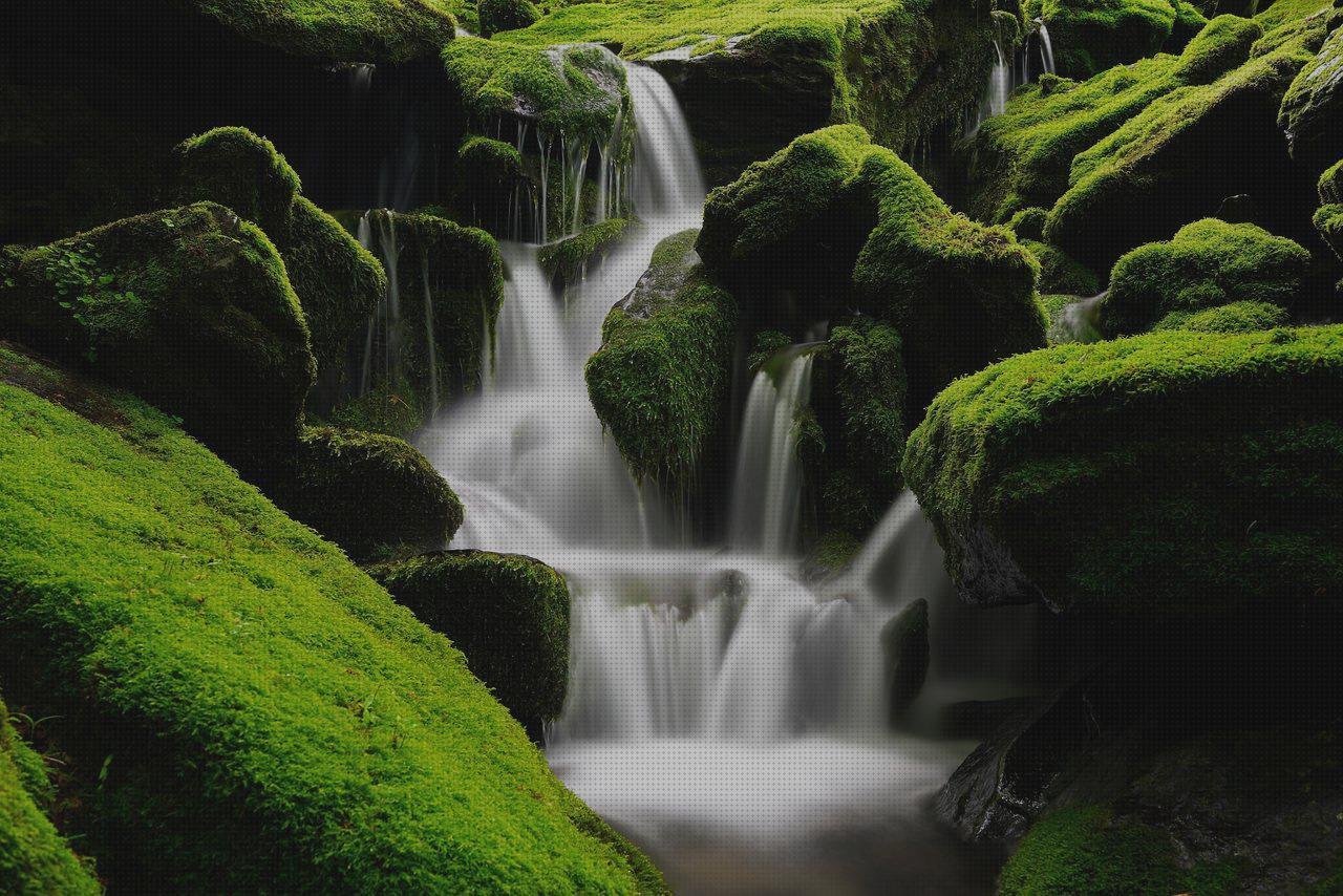 Los 25 Mejores Cool Protector Xiaomi A3