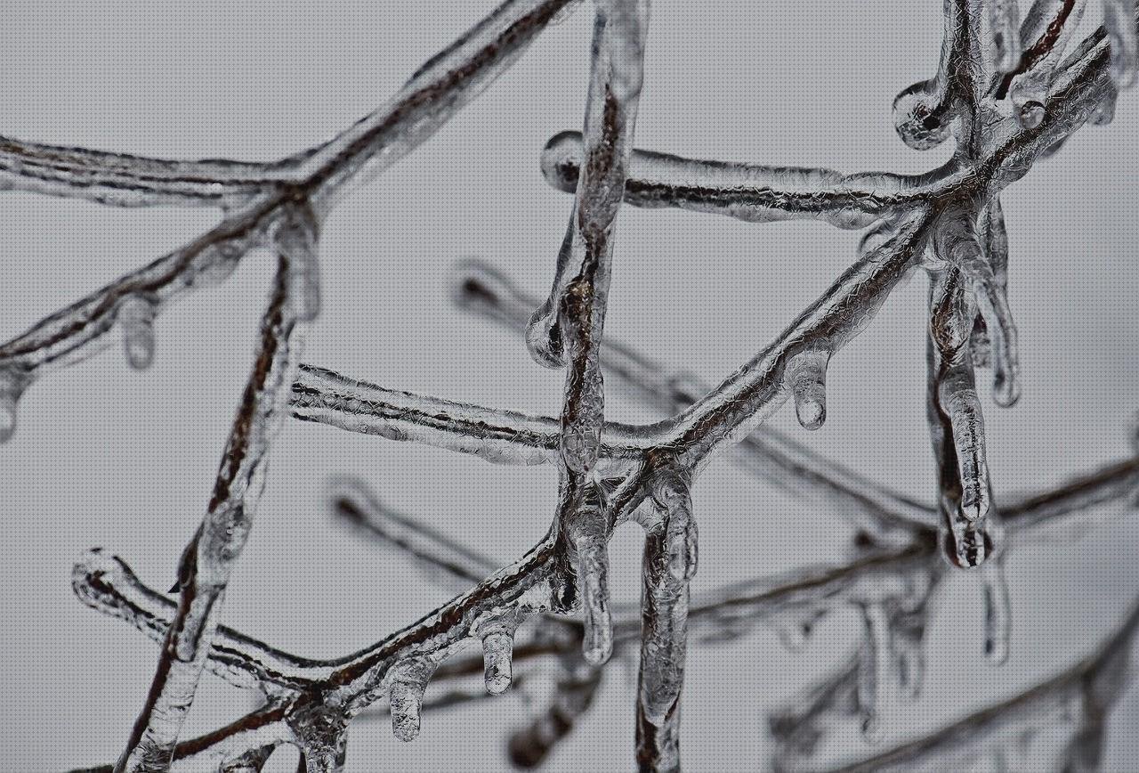 Las mejores marcas de xiaomi foco f1 kimóvil xiaomi f1 cargador xiaomi 5v 2a funda adidas xiaomi