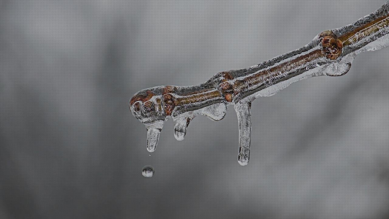 Review de funda xiaomi mi4