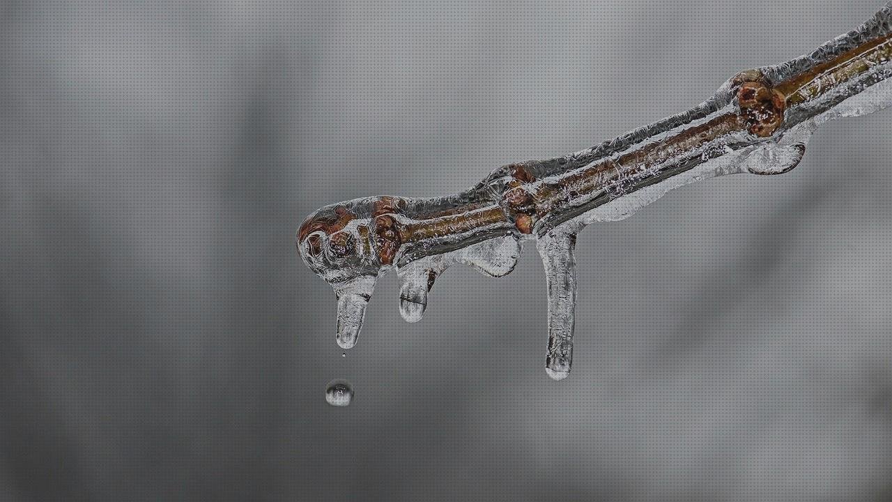 Las mejores fundas xiaomi s2 estuche xiaomi fundas marmol xiaomi s2