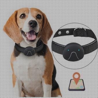 Review de gps perros xiaomi