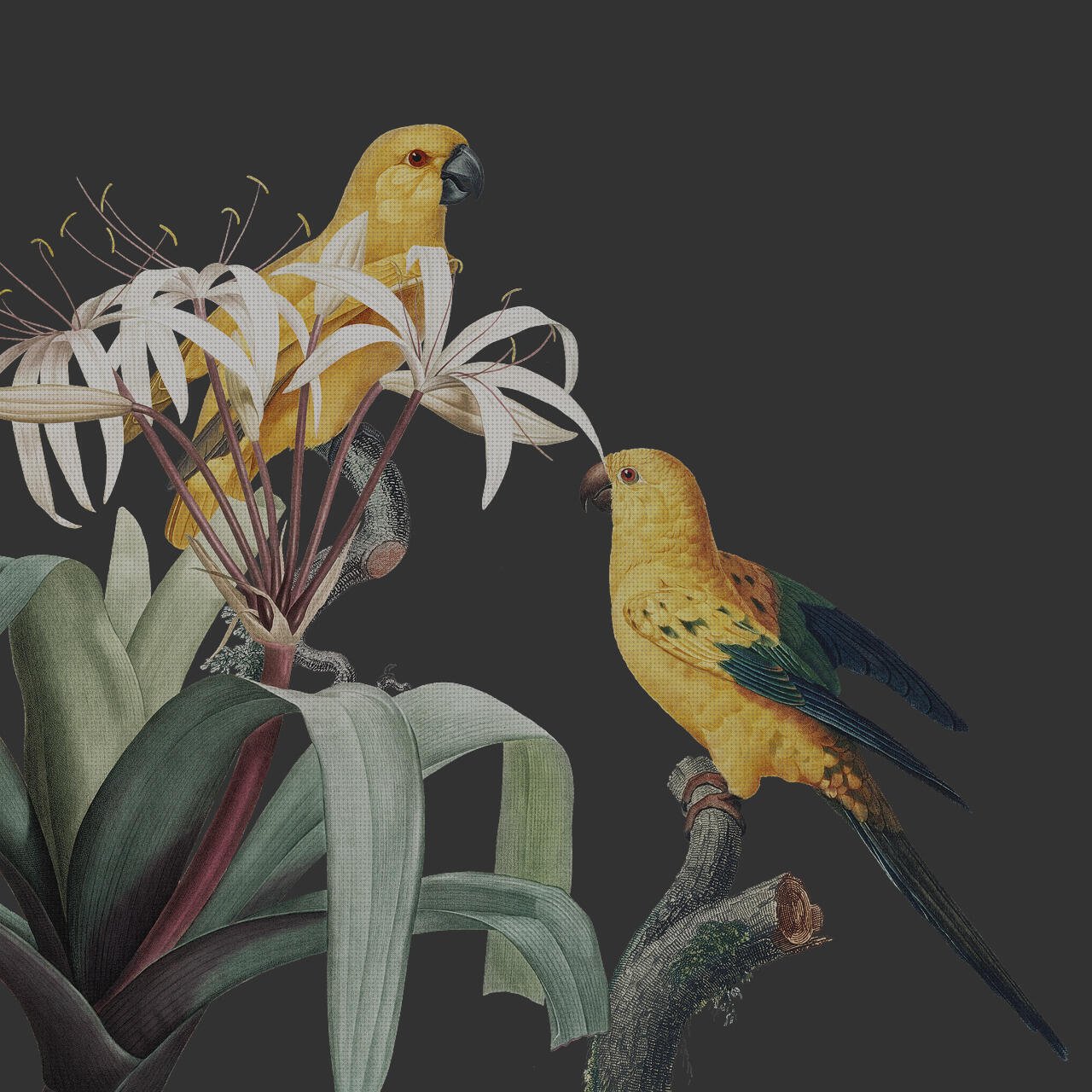 Review de marca por calidad en pulseras fitnes gps xiaomi