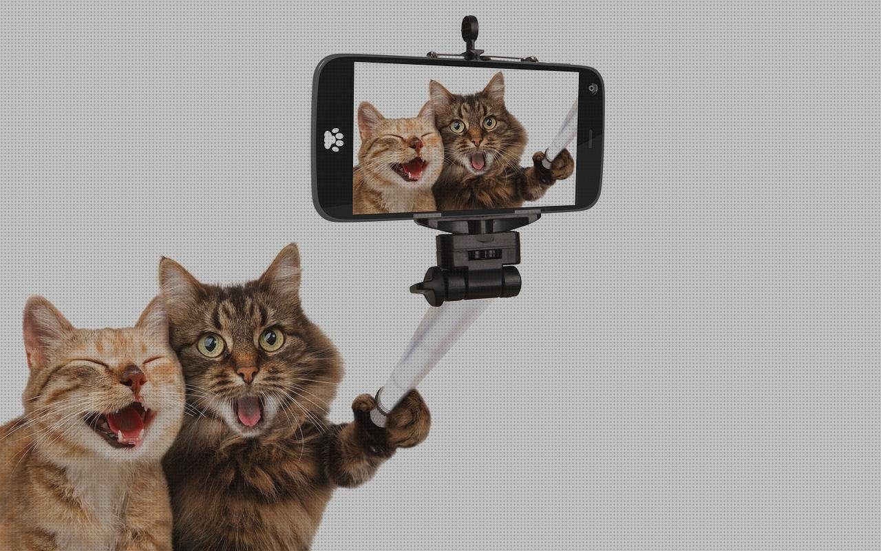 Los 18 Mejores Palos Selfies Xiaomi Redmi