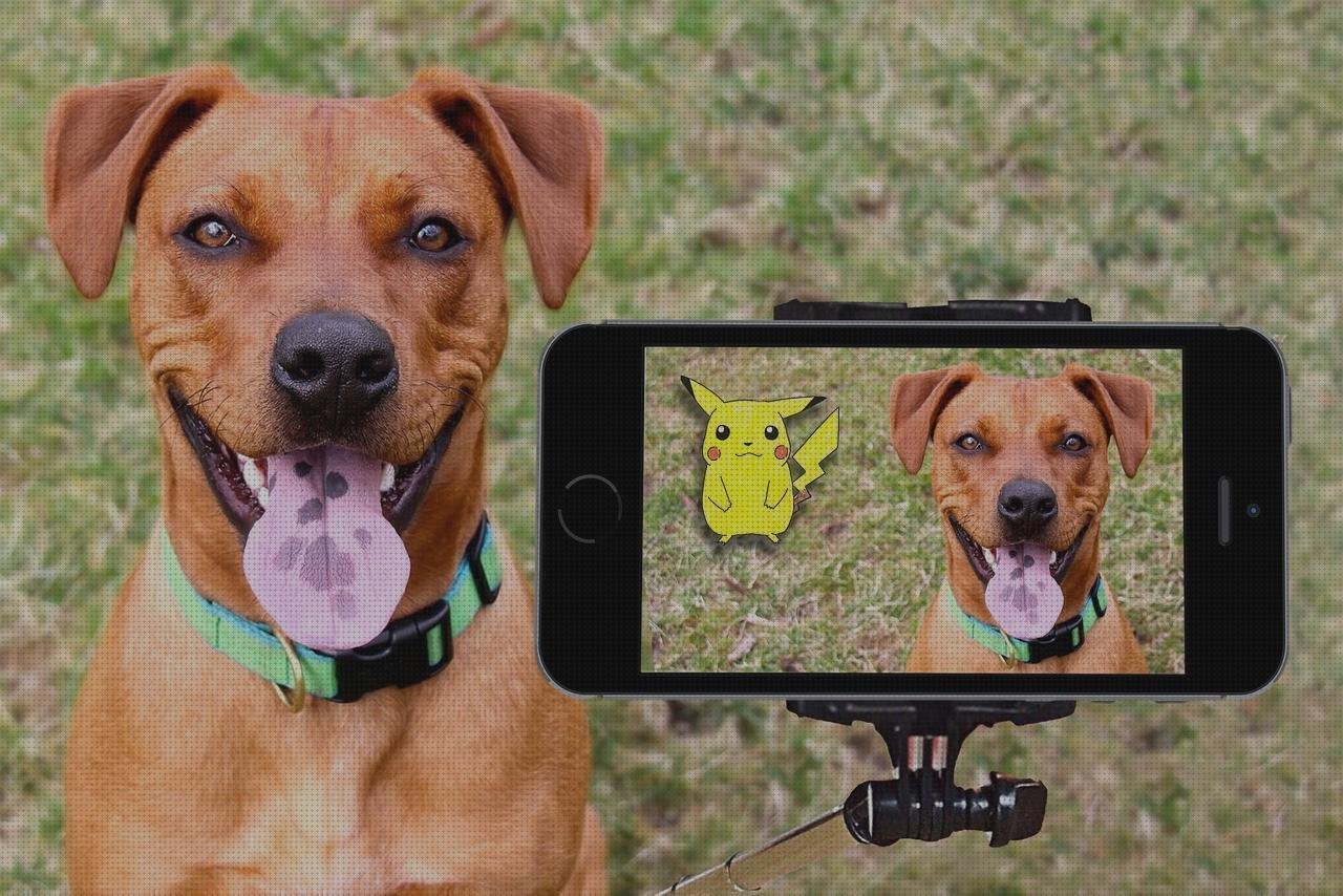 TOP 13 palos selfies xiaomi