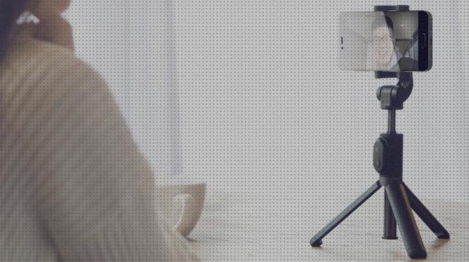 ¿Dónde poder comprar palos?