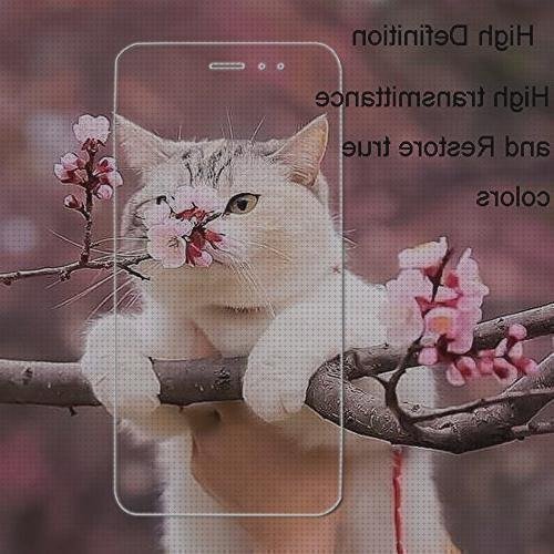 Las mejores 365 protector pantalla xiaomi 365