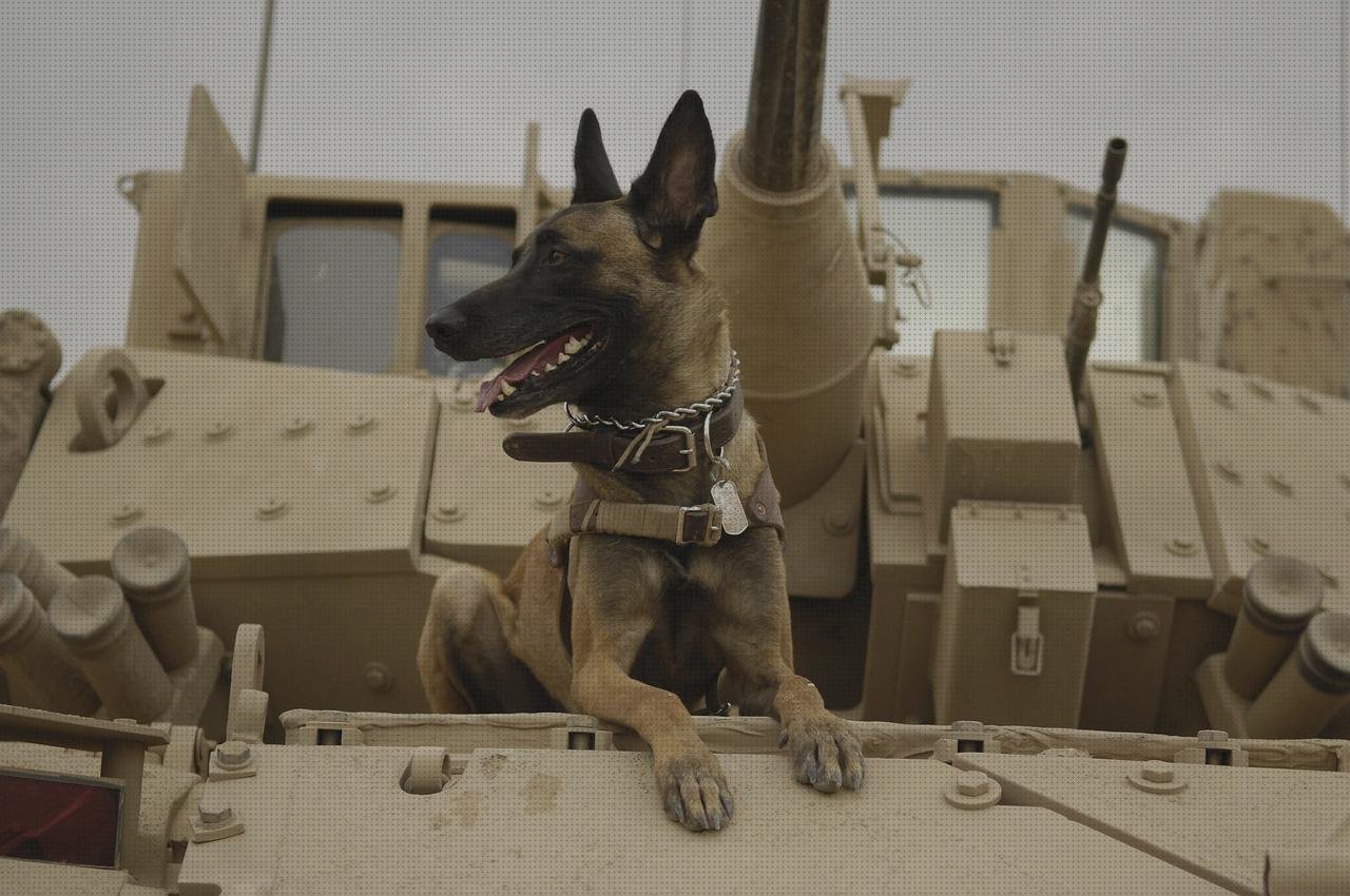 ¿Dónde poder comprar mi9t protector pantalla xiaomi mi9t?