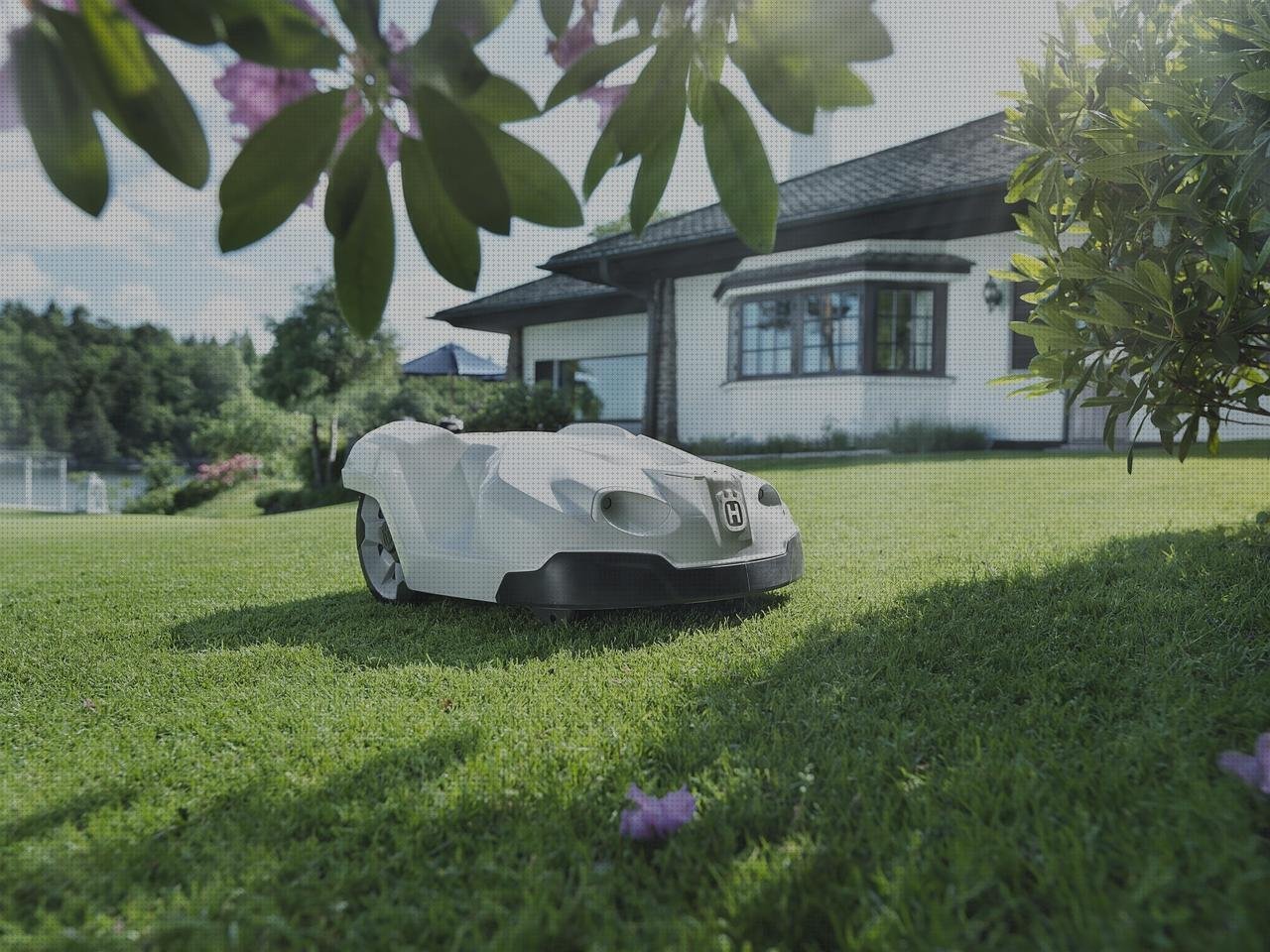 Las mejores marcas de robot cortacesped xiaomi