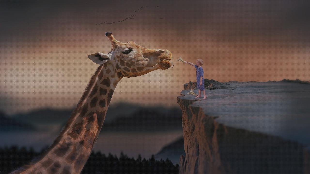 Las mejores patinetes xiaomi m365 patinete xiaomi són originales los patinetes xiaomi m365 de