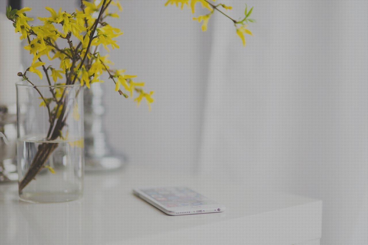 Opiniones de los 21 mejores Teléfonos De Casa Xiaomi