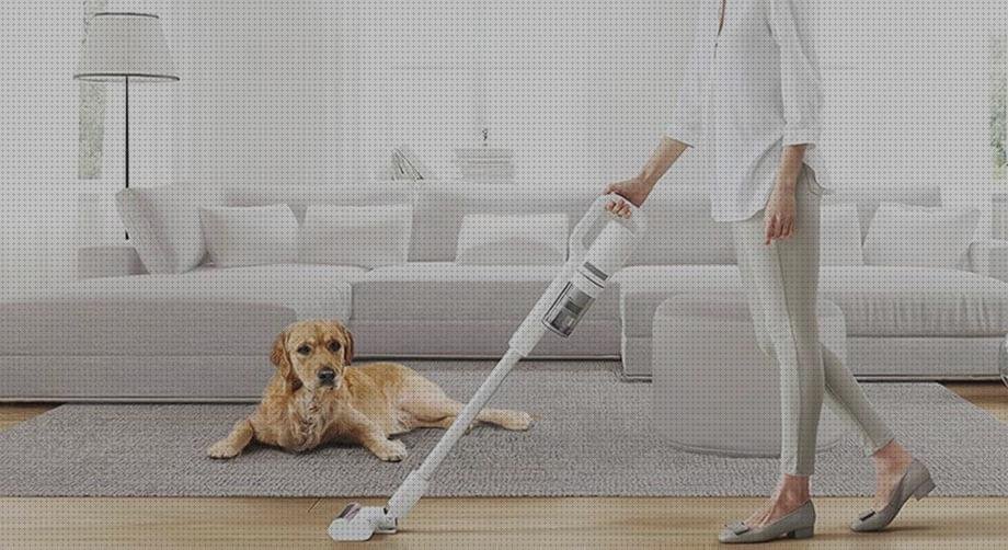 Review de xiaomi aspirador mascotas