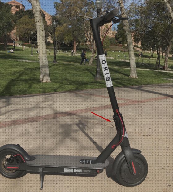 36 Mejores xiaomi birds scooter bajo análisis